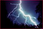 Violent lightning in Bihar kills many, Furious lightning caused death, violent lightning in bihar kills many, Mango orchard