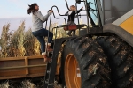 donald trump, pandemic, trump sanctions 19 billion for the aid of farmers hit by pandemic, Relief package