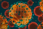 Coronavirus India, Coronavirus India daily tally, 37 875 new coronavirus cases reported in india, Coronavirus deaths