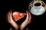 Alcohol and Coffee, Coffee in protecting Livers, coffee consumption helps in protecting boozers livers, Coffee benefits