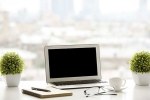ecology, office, a plant in your office can help in preventing sick days says experts, Toxic chemicals