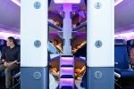 Air New Zealand Bunk Beds, Air New Zealand Bunk Beds, air new zealand introduces bunk beds in economy flights, New zealand