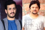 Akhil Akkineni and Surendar Reddy, Akhil Akkineni next movie, akhil akkineni and surendar reddy joins hands, Coronavirus lockdown Akhil Akkineni and Surendar Reddy, Akhil Akkineni next movie, akhil akkineni and surendar reddy joins hands, Coronavirus lockdown