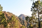 Kasauli new updates, Kasauli tour, amazing things to do and see in kasauli, Pop