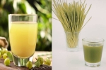Wheatgrass Juice, Amla Juice Vs Wheatgrass Juice liver, amla juice vs wheatgrass juice for fatty liver, T struggle