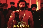 Animal for Filmfare, Animal Filmfare Awards, record breaking nominations for animal, Bobby