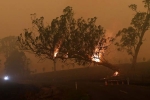 forest land, file blazes, australia fires warnings of huge blazes ahead despite raining, Global warming