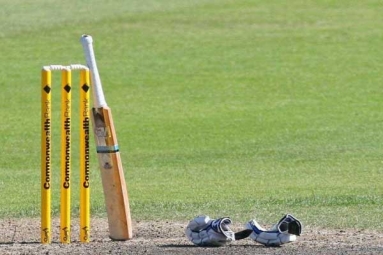 Indian-Origin Israel Cricket President Seeks BCCI Support