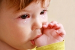 Watery eyes in Babies updates, Watery eyes in Babies health update, real causes does your baby have watery eyes, Pediatri Watery eyes in Babies updates, Watery eyes in Babies health update, real causes does your baby have watery eyes, Pediatri