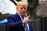 foreign, H1-B visa, trump bans hiring of h1b visa holders for federal contracts, Immigrant visa