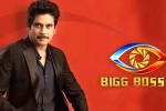 Bigg Boss 5 on Star MAA, Star MAA, bigg boss 5 to commence from september 5th, Bigg boss telugu