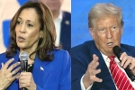 Kamala Harris Vs Donald Trump 2024, Kamala Harris Vs Donald Trump 2024, more billionaires back kamala harris over donald trump, Paul