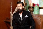 Bobby Deol Vs Alia Bhatt news, Bobby Deol Vs Alia Bhatt news, bobby deol to lock horns with alia bhatt, Bobby deol