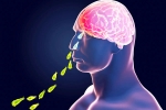 Kerala PAM, Brain-Eating Amoeba, brain eating amoeba in kerala why and how it spreads, Swimming