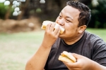 Bread for weightloss for health, Bread for weightloss breaking, will bread help in weightloss, Fibre