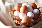 Brown Eggs Vs White Eggs breaking, Brown Eggs Vs White Eggs breaking, brown eggs vs white eggs which is healthy, Brown eggs