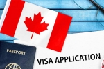 Canada's study visa approvals Indian students, Canada's study visa approvals India, canada s study visa approvals for indian students to drop by 50 in 2024, Autumn