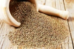Chewing Ajwain bad, Chewing Ajwain, can chewing ajwain after dinner relieve acidity, Health benefits