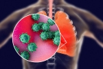 transmission, ACE2 and TNPRSS2, new studies explain how the coronavirus enters our body, Cornea