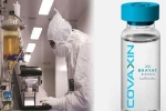 Coronavirus vaccine, Coronavirus vaccine, covaxin india s 1st covid 19 vaccine to get approval for human trials, H1n1 Coronavirus vaccine, Coronavirus vaccine, covaxin india s 1st covid 19 vaccine to get approval for human trials, H1n1
