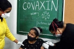 Covaxin impact, Covaxin impact on teens, covaxin infected 50 percent of the teens, Covid 19 vaccine
