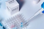 covid-19, researchers, studies find the incidence of covid 19 reinfection is low, Monkeys