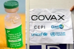 Covishield news, COVAX, sii to resume covishield supply to covax, Bharat biotech