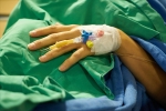 nipah virus treatment, nipah virus ppt, here s how you can prevent deadly infection nipah virus from affecting you, Nipah virus