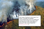 amazon rainforest ecosystem, Fires in Amazon Rainforest, in pictures devastating fires in amazon rainforest visible from space, Npt