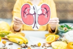 Healthy Kidneys breaking, Healthy Kidneys health tips, food items to include in your diet for healthy kidneys, Cancer