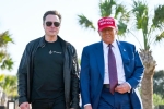 Donald Trump breaking news, Donald Trump, donald trump finally addresses rumors about elon musk, Nbc