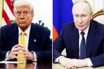 Donald Trump and Vladimir Putin meeting, Donald Trump and Vladimir Putin call, all about donald trump and vladimir putin s call, Sochi