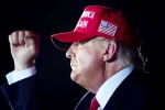 Donald Trump updates, Donald Trump shares, donald trump s first promise keeps the stocks tumbling, Usa elections 2024