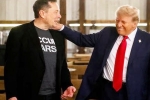 USA Elections 2024, Donald Trump news, donald trump s praise for musk s starlink, Mukesh ambani