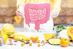 Better Gut Health news, Better Gut Health special drinks, quick and easy drinks for better gut health, Health drink