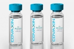 Covaxin, EUL for Covaxin latest developments, who delays the eul decision on covaxin, World health organisation