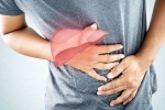 Liver Disease advise, Liver Disease medication, here are early signs of liver disease you should not ignore, Liver health
