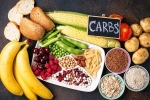 Too Many Carbs update, Too Many Carbs breaking, what happens if you eat too many carbs, Erra b