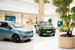 Car Sales September 2024 latest updates, Car Sales September 2024 breaking, electric car and suv sales reach lowest in september 2024, Ev car sales september 2024