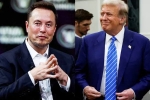 Elon Musk and Donald Trump deal, Elon Musk and Donald Trump spends, elon musk s big bet on donald trump, Nelson