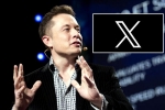 X subscription, X, elon musk announces that x would be paid for everyone, Revenue