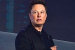 Elon Musk updates, Elon Musk new update, elon musk talks about cage fight again, Revenue