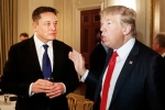 Donald Trump's Campaign, Elon Musk, elon musk donates for donald trump s campaign, Behind the scenes