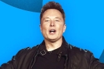 Elon Musk, Elon Musk email, elon musk s new ultimatum to twitter staffers, Tesla