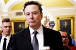Elon Musk, Donald Trump, elon musk vs trump supporters over indian immigrants, Ambassador