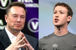 Mark Zuckerberg, Elon Musk and Mark Zuckerberg flight, elon vs zuckerberg mma fight ahead, Billionaires