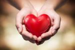 heart diseases, heart diseases, what you know about heart, De age your brain heart diseases, heart diseases, what you know about heart, De age your brain