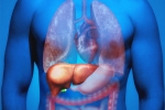 Fatty Liver in Youngsters, Fatty Liver in Youngsters news, why is fatty liver affecting youngsters, Caffeine