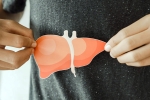 Fatty Liver kids, Fatty Liver doctors, fatty liver an alarming rise among children, Doct