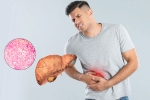 Fatty Liver latest, Fatty Liver health, fatty liver can be reversed in just one month, Promo